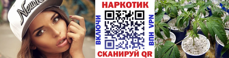 Как найти закладки Лыткарино COCAIN МЕФ ГАШИШ АМФЕТАМИН Бошки Шишки A-PVP