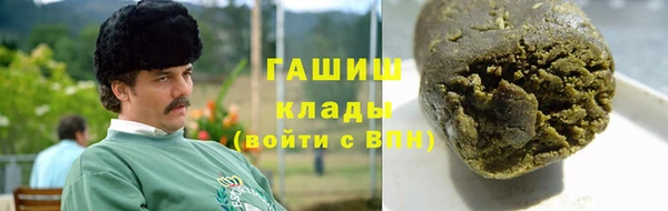 хмурый Белокуриха