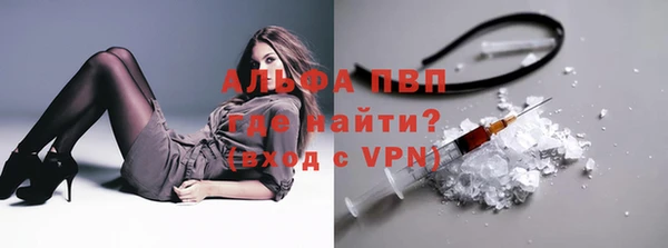 хмурый Белокуриха