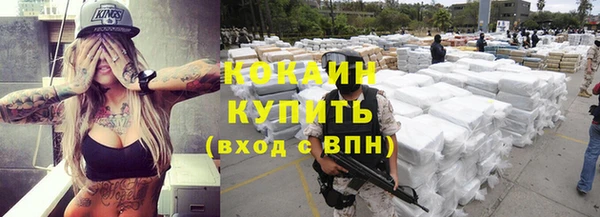 хмурый Белокуриха