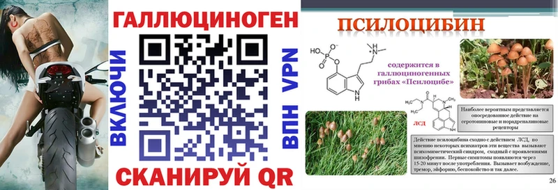 Псилоцибиновые грибы мицелий Лыткарино